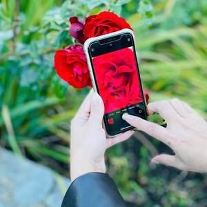 Meet your Posher, Joanne